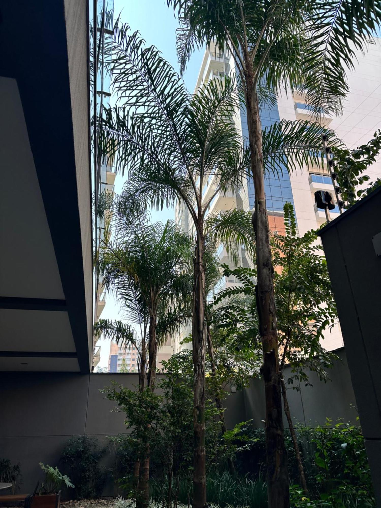 Ap102 Prox Paulista Com Varanda Retiro Urbano เซาเปาโล ภายนอก รูปภาพ